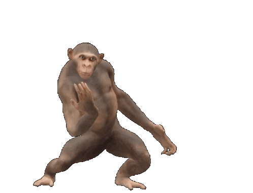 simio